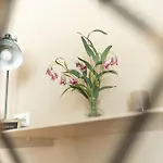 Mas Pla Bed & Breakfast Riudellots de la Selva