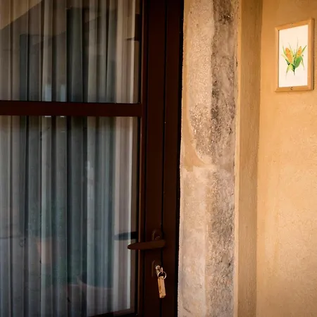 Mas Pla Риудельотс-де-ла-Сельва