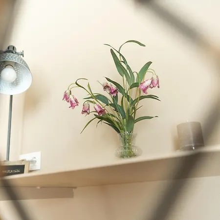 Mas Pla Bed & Breakfast Riudellots de la Selva